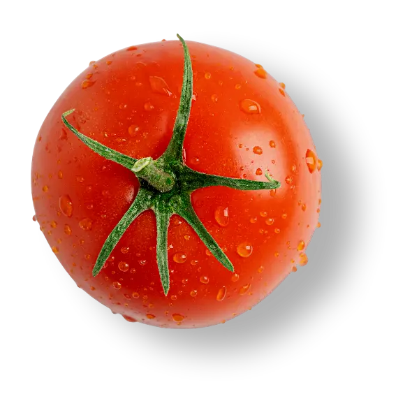 paradajz
